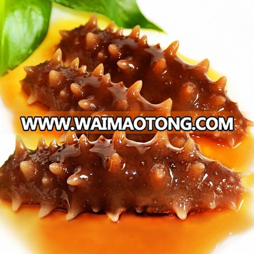 The sea cucumber