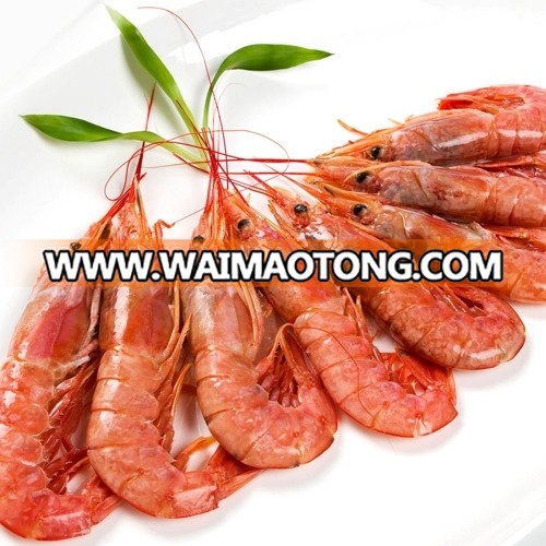 Overlord shrimp
