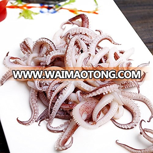 Squid