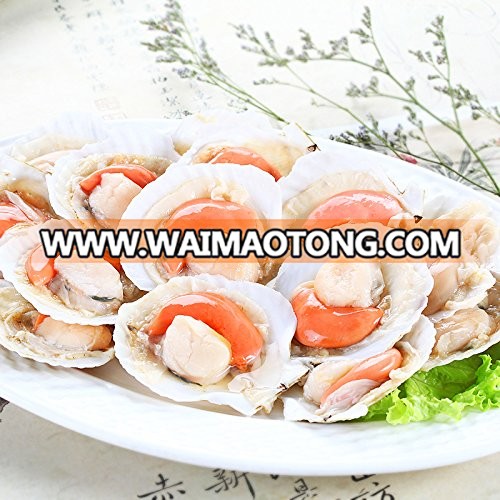 Scallops