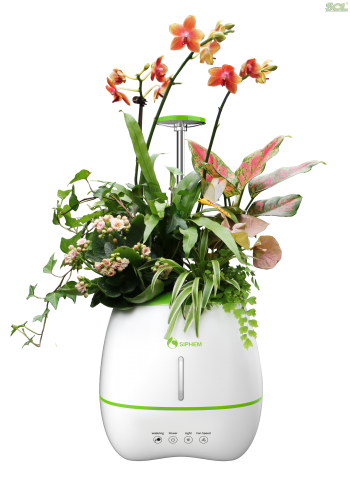 KJMN220A HOME GARDEN