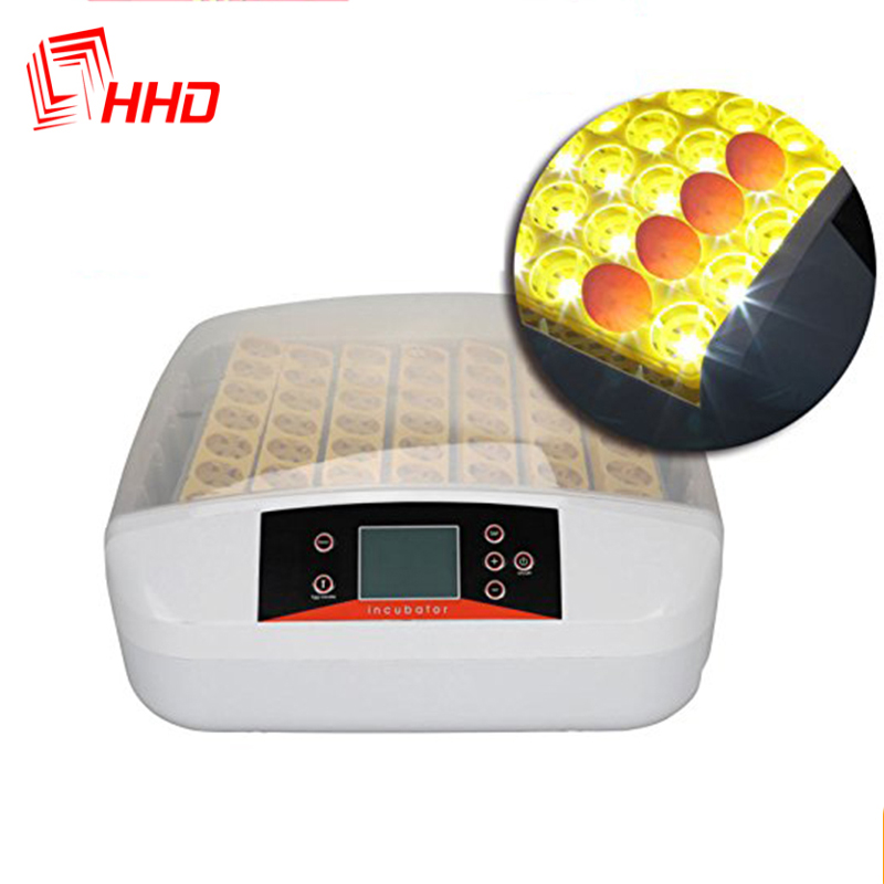 Automatic egg candli