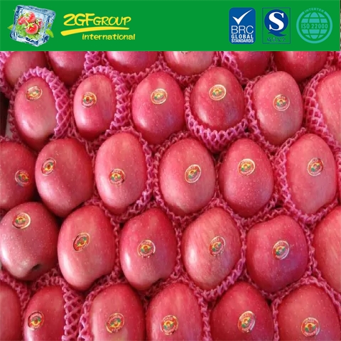 Juicy Fresh FUJI Apple For Sale