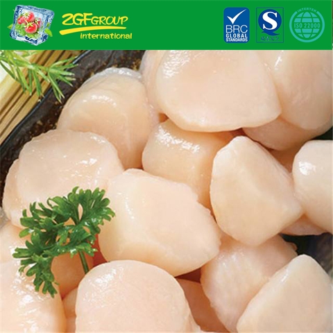 Frozen Sea Scallop/Strong Scallop