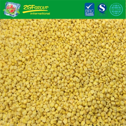 New Season IQF Sweet Corn Kernels