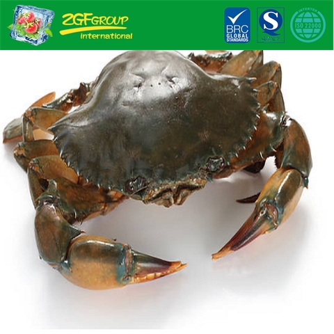 Frozen Soft Shell Mud Crab