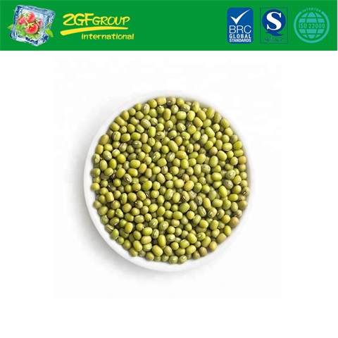 2019 New Crop Dry Mung Beans