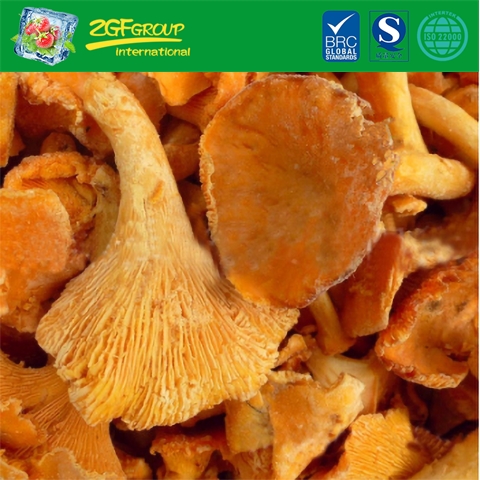 Wild Good Quality Frozen Chanterelle