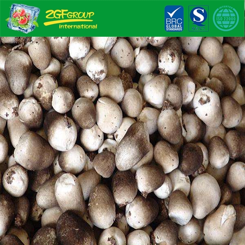 Frozen IQF Straw Mushroom