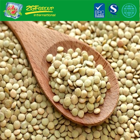 High Quality Dry Lentils