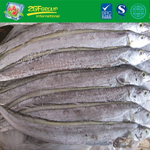 Frozen Ribbon Fish