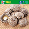Good Grade Dried Flower Shiitake Mushroom