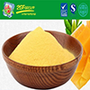 Instant Mango Drink Powder With Great Taste