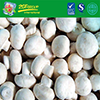New Crop IQF Whole White Button Mushroom