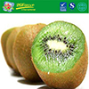 Great Quality Frozen Half Cut Kiwi Fruit