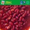 Great Taste Canned Red Kidney Beans