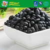 High Quality Dried Black turtle bean From China