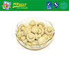 High Grade Canned White Button Mushroom