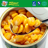 Canned Corn In Light Syrup